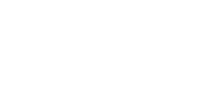 Logo WSI