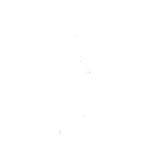 Golden Circle de Simon Sinek