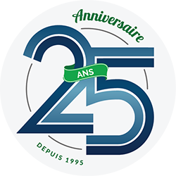 WSI, agence webmarketing depuis 1995