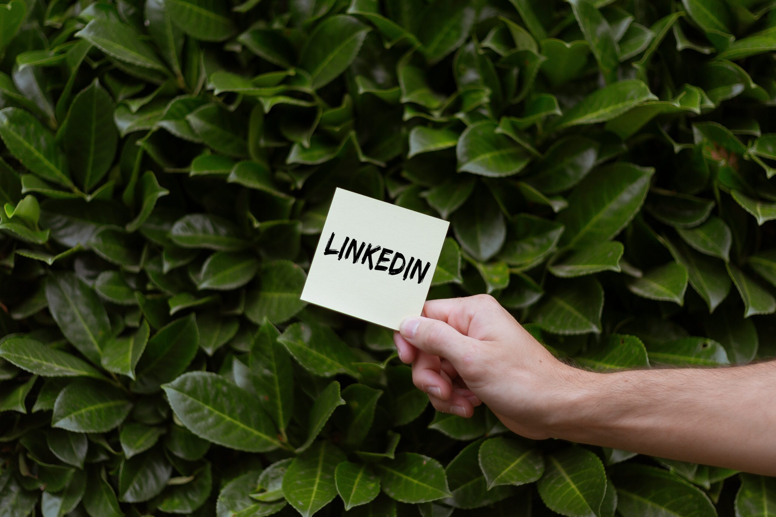 Campagne Linkedin